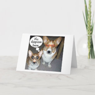 INGEN DISGUISERING AV KÄRLEK FÖR HONOM ELLER HENNE KORT