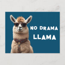 Ingen Drama Llama Coola Alpaca Bära Sollasser Blue