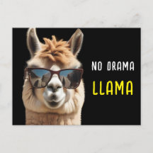 Ingen Drama Llama-Coola Alpaca med solglasögon fun
