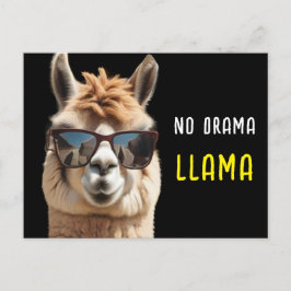Ingen Drama Llama-Coola Alpaca med solglasögon fun Vykort
