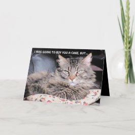 Ingen födelsedagskaka, har inte råd med många ljus kort