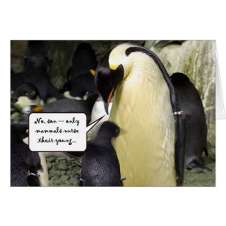 Ingen fri lunchpingvin hälsningskort