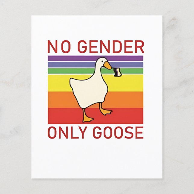 Ingen Gender får endast vara icke-binär HGBTQ Flygblad (Framsidan)