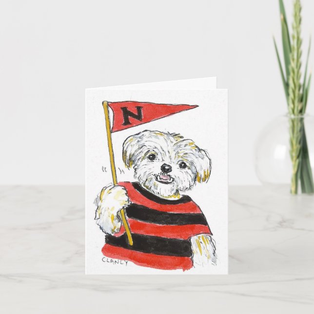 Ingen gillar att lura laget kort (Framsida)