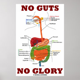 Ingen glans (matsmältningsanatomi) poster