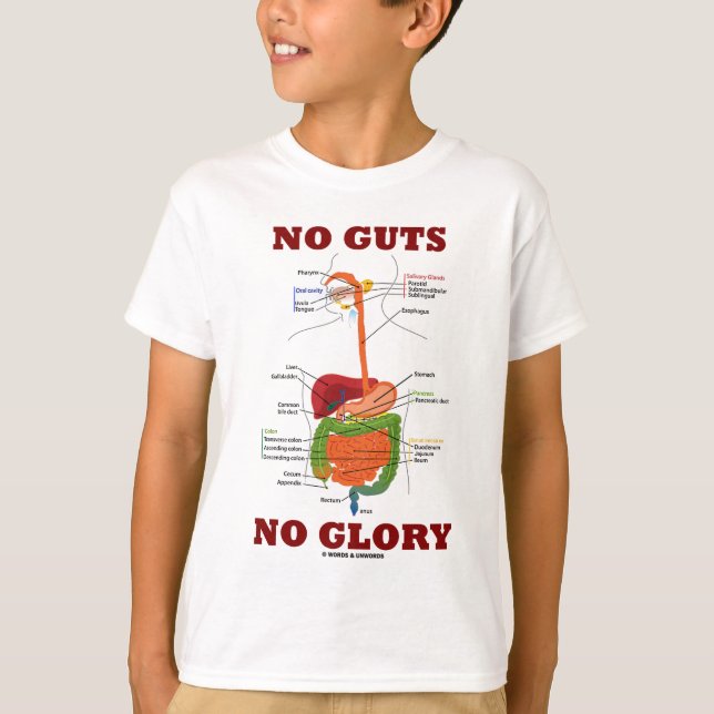 Ingen glans (matsmältningssystemet Anatomy Humor) Tee (Framsida)