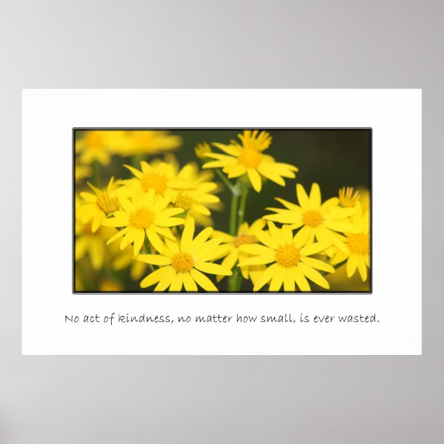 Ingen godhet slösas någonsin poster (Framsidan)