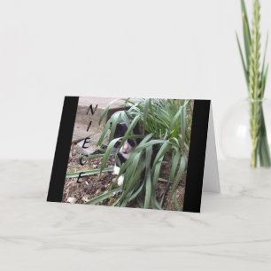 INGEN GÖMMANDE FRÅN SANNINGEN "BÄSTA NIECE" I VÄRL KORT