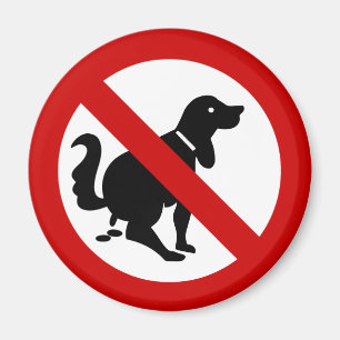 INGEN hund som trasslar till thailändsk ⚠, Magnet