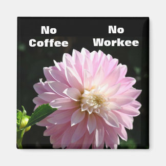Ingen kaffe ingen syssla magnet Rosa Dahlia Blomma