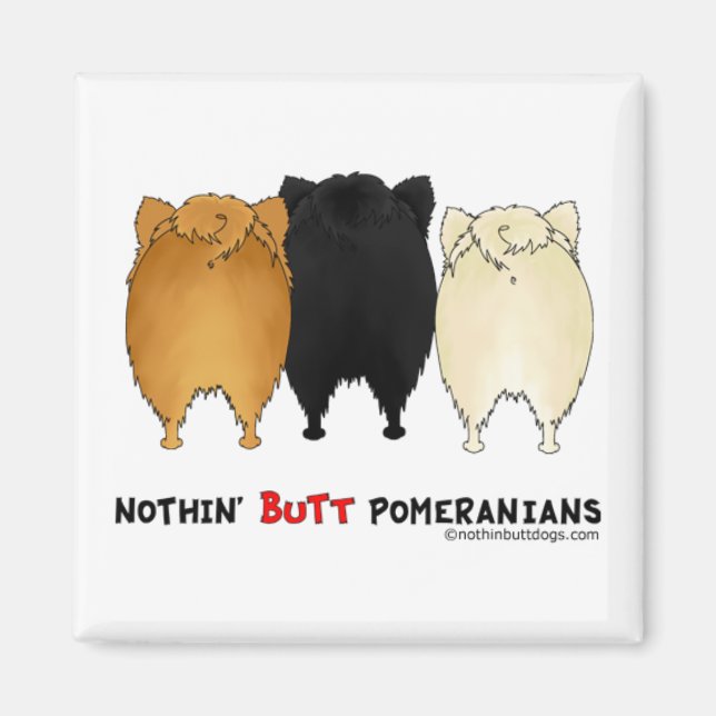 Ingen knut Pomeranians Magnet (Framsidan)