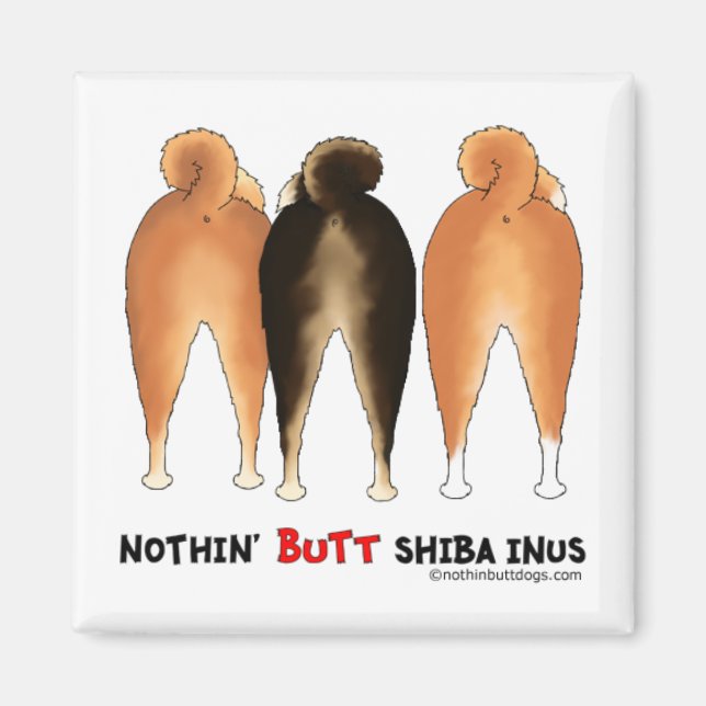 Ingen knut Shiba Inus Magnet (Framsidan)