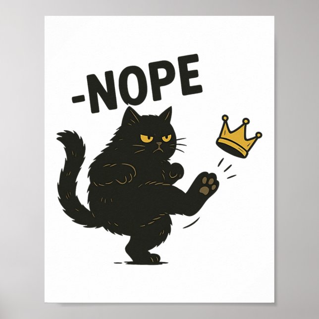 Ingen Kung i American Black Cat Pro Democracy S Poster (Framsidan)