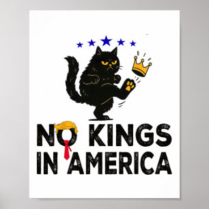 Ingen Kung i Amerika, vi är folkpolitiker Poster