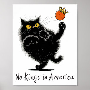 Ingen Kung i Amerika vi Folkpolitik 1 Poster