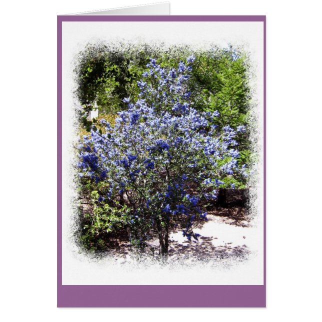 Ingen längre Ensam Hälsningskort (Framsidan)