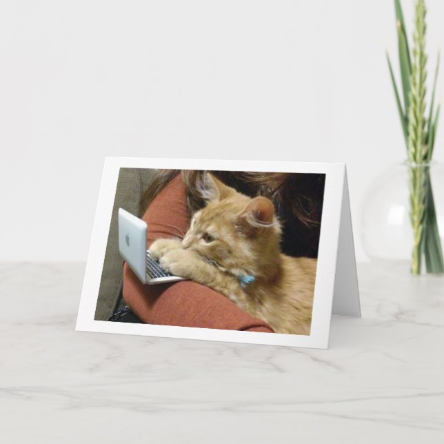 INGEN MALNING, ÖNSKAR ER EN GOD JUL KORT (Framsida)