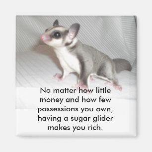 Ingen materia hur lite pengar och hur fe… magnet