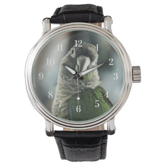 Ingen mer mock hedgehog armbandsur