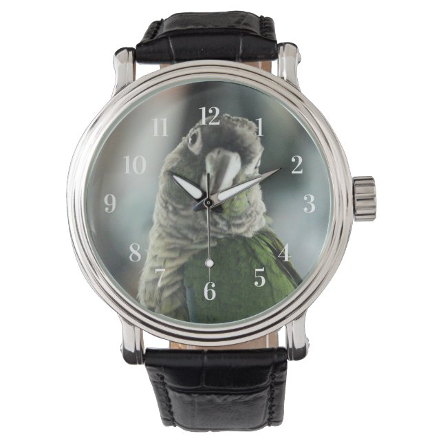 Ingen mer mock hedgehog armbandsur (Framsida)