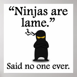 Ingen någonsin har sagt: Ninjas är döende Poster