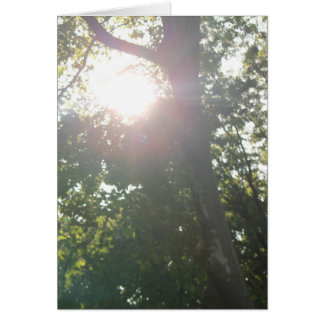 Ingen orsak till Bra Hälsningskort