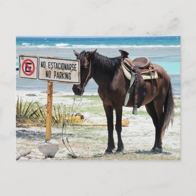 Ingen parkering vykort (Framsida)