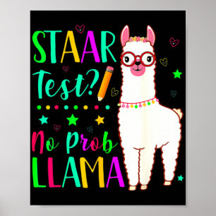 Ingen provdag för Prob Llama Llama Llama Llama-lac Poster