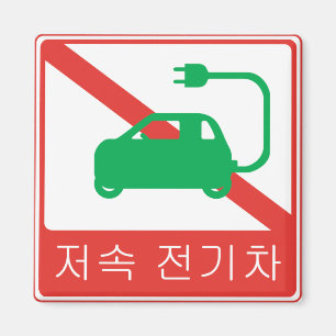 INGEN PRÖVNING FÖR NEV:s koreanska trafikskylt Magnet