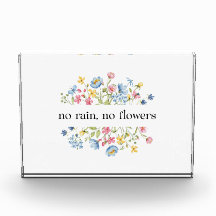 Ingen regn, inga blommor |