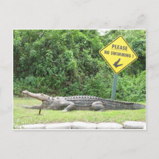 Ingen simning! vykort