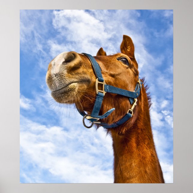 Ingen skjuts idag poster (Framsidan)