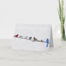 Ingen snöflinga faller någonsin på fel plats -Seme Helgkort