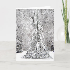 Ingen snöflinga i fel Ställe. Helgkort