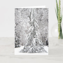 Ingen snöflinga i fel Ställe. Helgkort