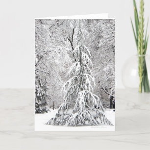 Ingen snöflinga i fel Ställe. Helgkort