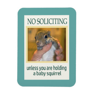 Ingen Soliciting ekorre Magnet