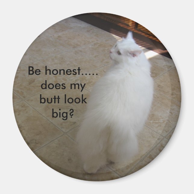 Ingen svan-katt? magnet (Framsidan)