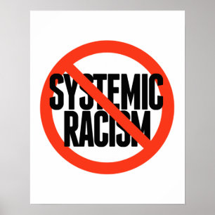 Ingen systematisk rasism poster