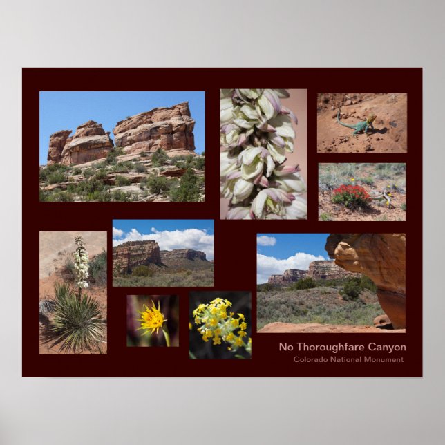 Ingen Thoroughfare Canyon Personlig Travel Poster (Framsidan)
