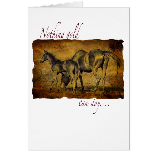 Ingenting guld- Canstag Hälsningskort (Framsidan)