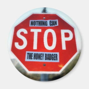 Ingenting kan STOPPA thhoney badger Magnet