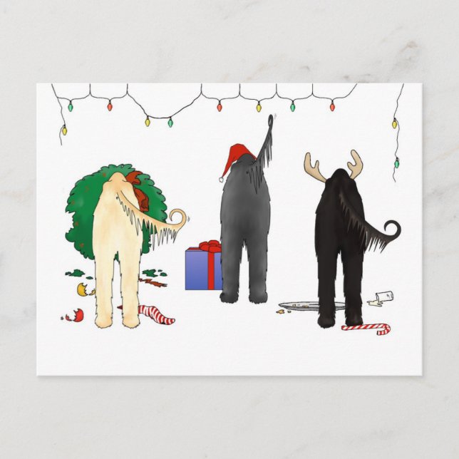 Ingenting knuffar afghansk jul helg vykort (Framsida)