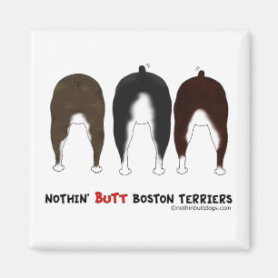 Ingenting knuffar Boston Terriers Magnet