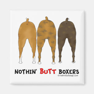 Ingenting knuffar boxare magnet