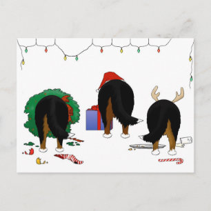 Ingenting knuffar en Berner jul Helg Vykort