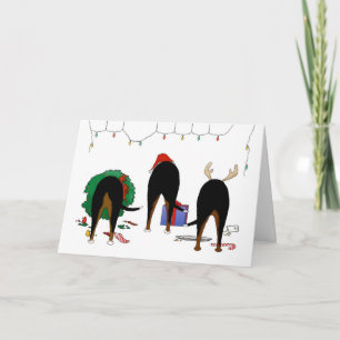 Ingenting knuffar en Swissie jul Helgkort