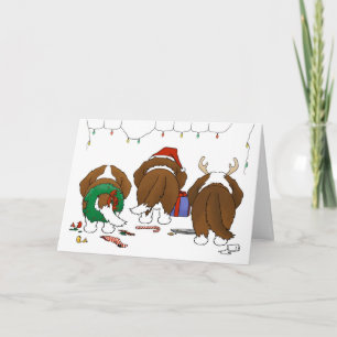 Ingenting knuffar ett St Bernard jul Helgkort