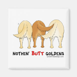Ingenting knuffar Goldens Magnet