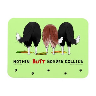 Ingenting knuffar gränsCollies Magnet